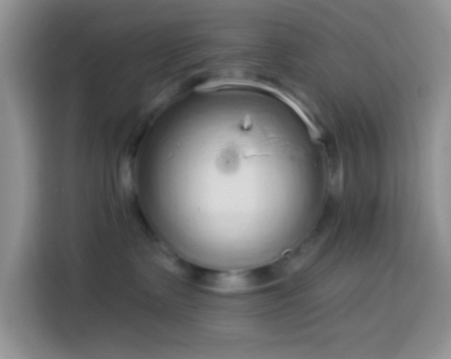 X0000113880335200910011137