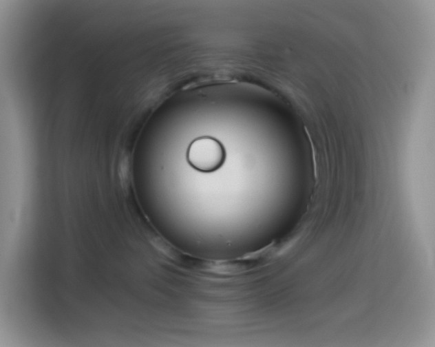 X0000113880336200910011137