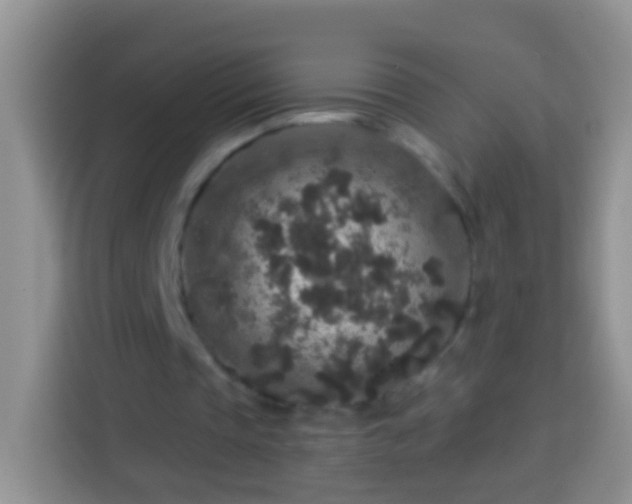 X0000113880337200910011137