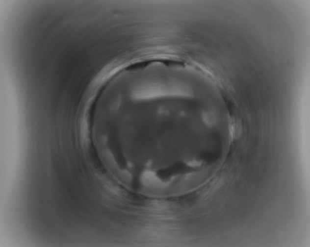 X0000113880339200910011137