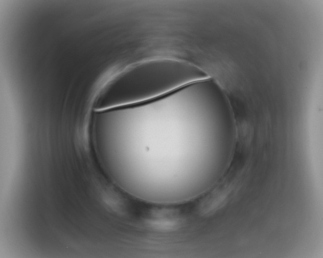 X0000113880340200910011137