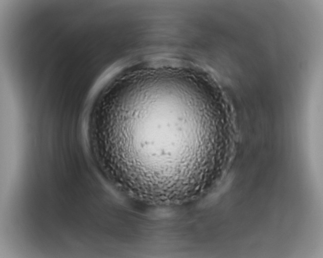 X0000113880341200910011137