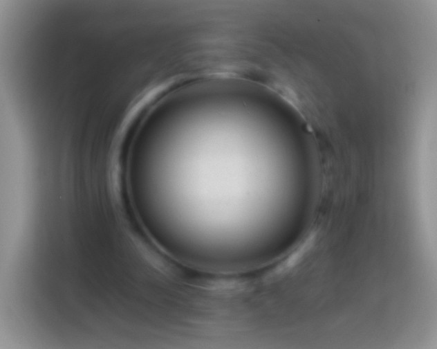 X0000113880342200910011137