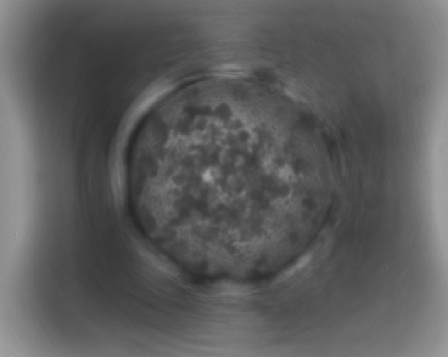 X0000113880343200910011137