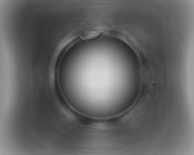 X0000113880344200910011137