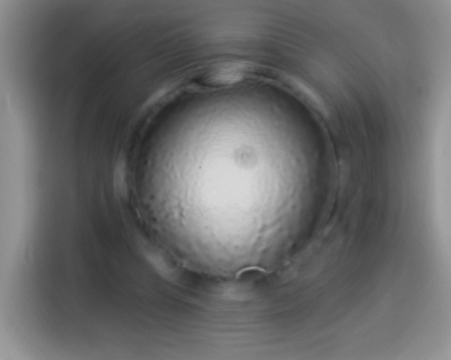 X0000113880345200910011137