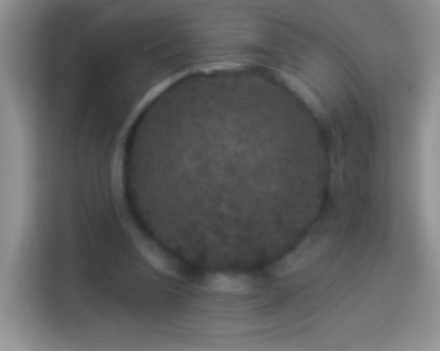 X0000113880346200910011137