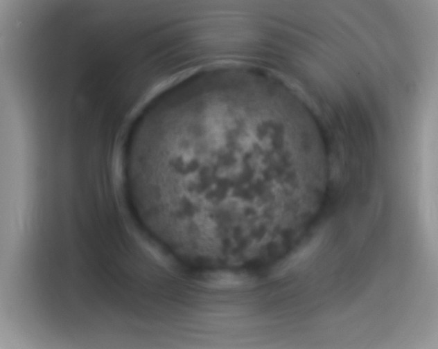 X0000113880347200910011137