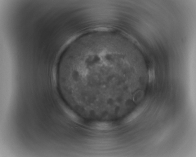 X0000113880349200910011137