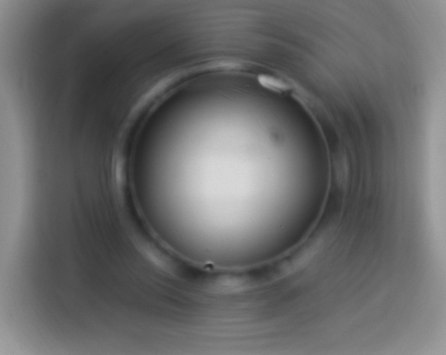 X0000113880350200910011137