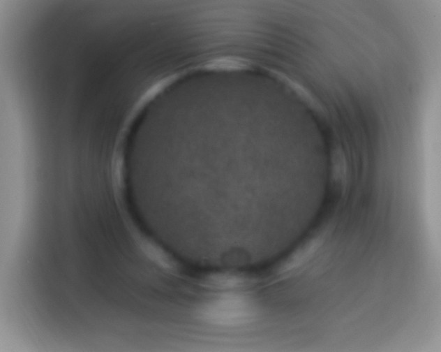 X0000113880351200910011137