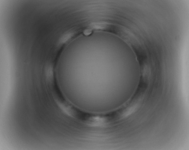 X0000113880352200910011137