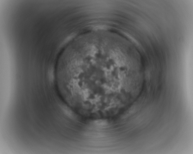 X0000113880353200910011137