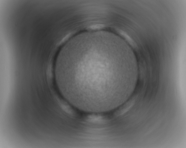 X0000113880354200910011137