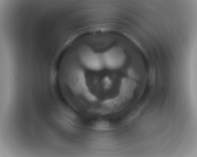 X0000113880355200910011137