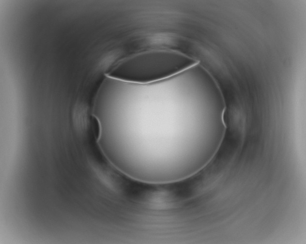 X0000113880356200910011137