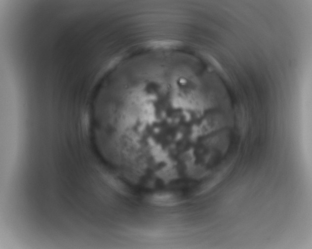 X0000113880357200910011137