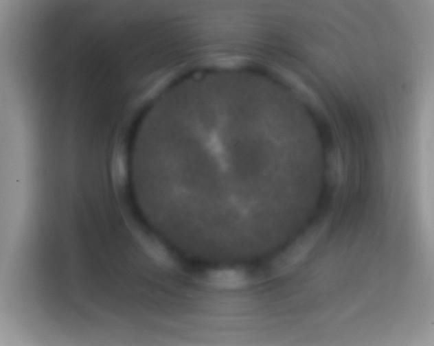 X0000113880358200910011137