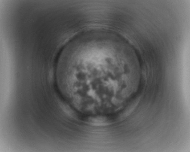 X0000113880359200910011137