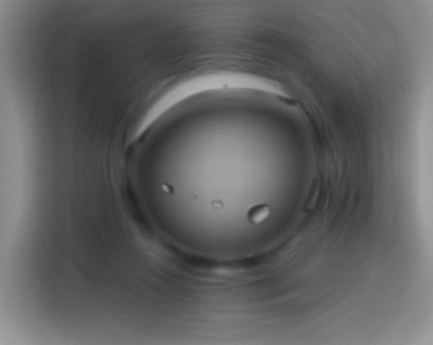 X0000113880360200910011137