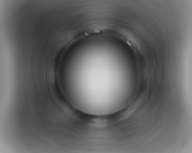 X0000113880362200910011137