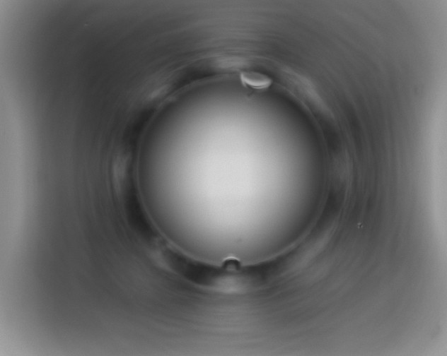 X0000113880364200910011137