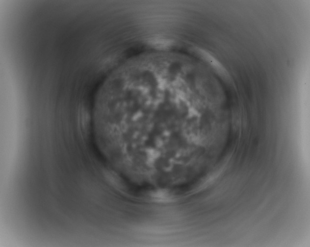 X0000113880365200910011137