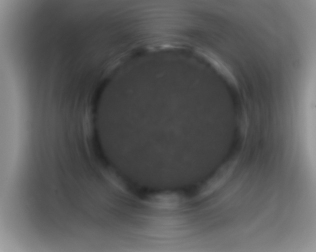 X0000113880366200910011137