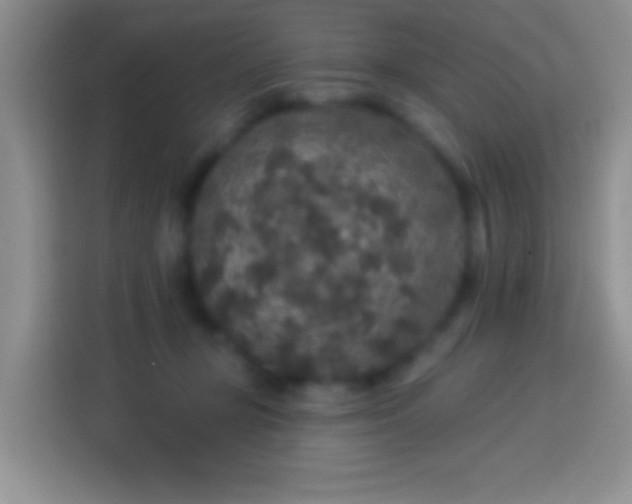 X0000113880367200910011137