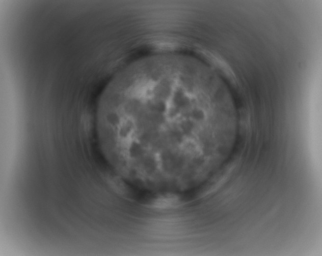 X0000113880369200910011137