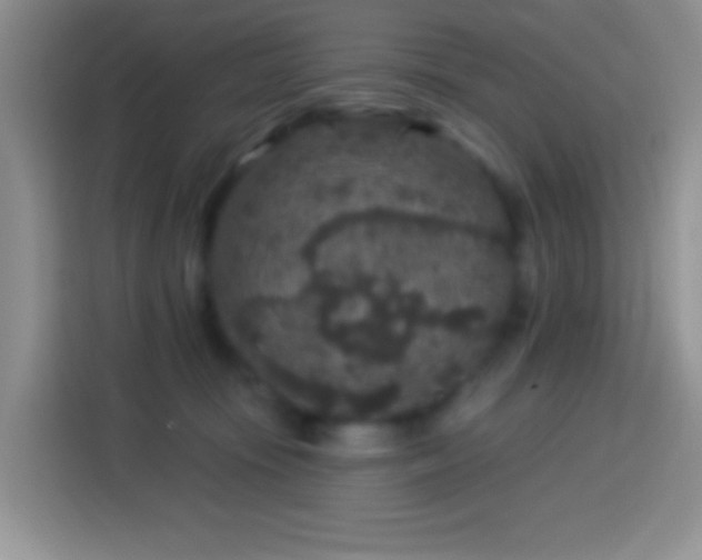 X0000113880371200910011137