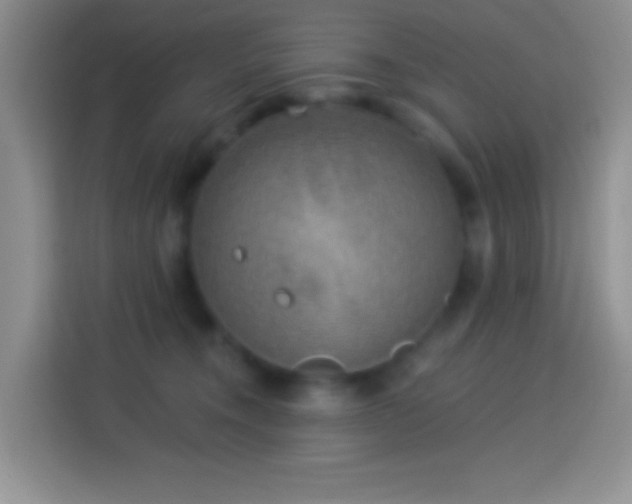 X0000113880372200910011137