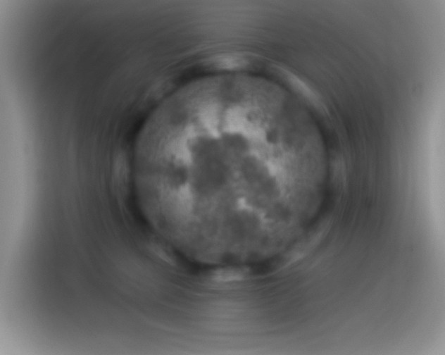 X0000113880373200910011137