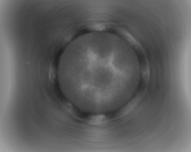 X0000113880374200910011137