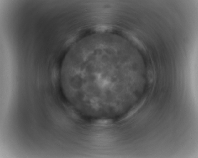 X0000113880375200910011137