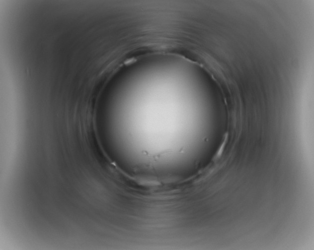 X0000113880376200910011137