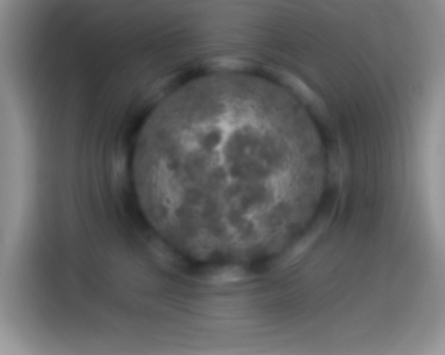 X0000113880377200910011137