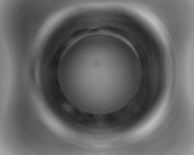 X0000113880382200910011137