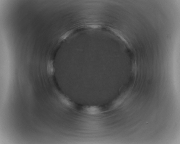 X0000113880383200910011137