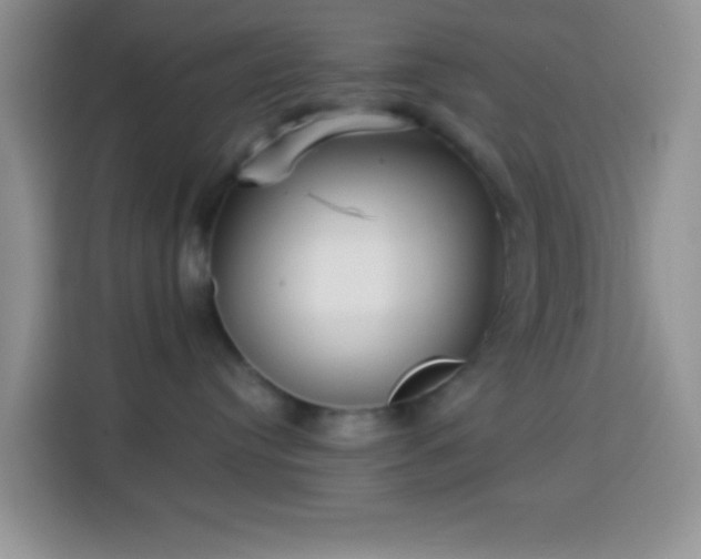 X0000113880384200910011137