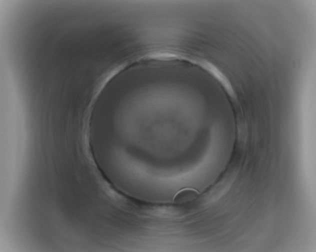 X0000113880385200910011137