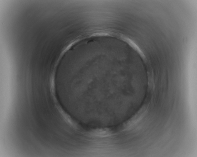 X0000113880386200910011137