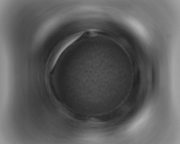 X0000113880387200910011137