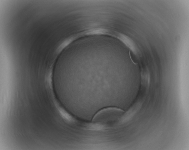 X0000113880389200910011137