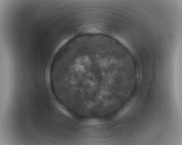 X0000113880390200910011137