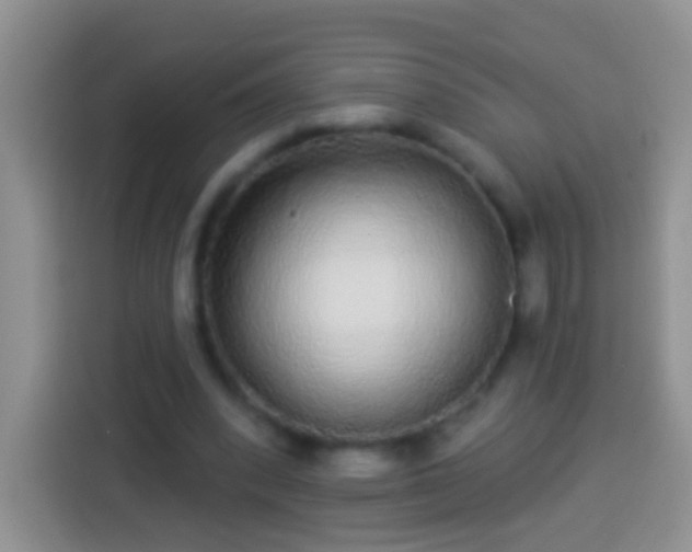 X0000113880392200910011136