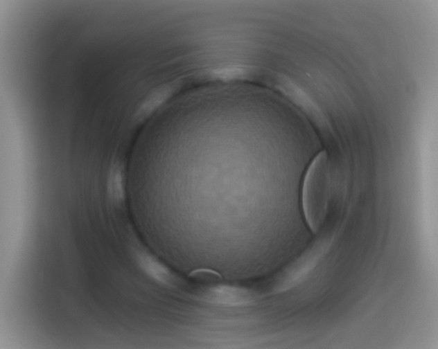 X0000113880393200910011136