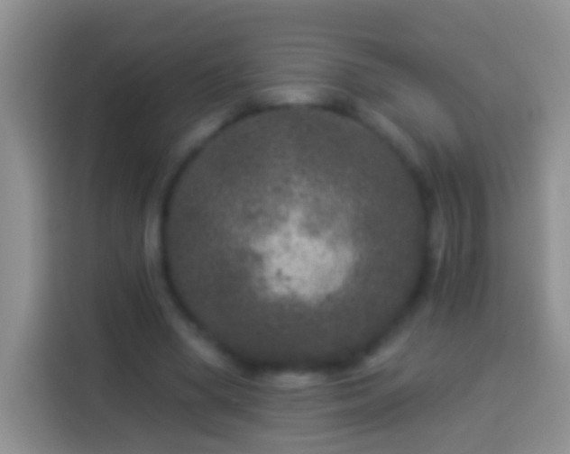 X0000113880394200910011136