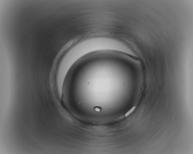 X0000113880395200910011136