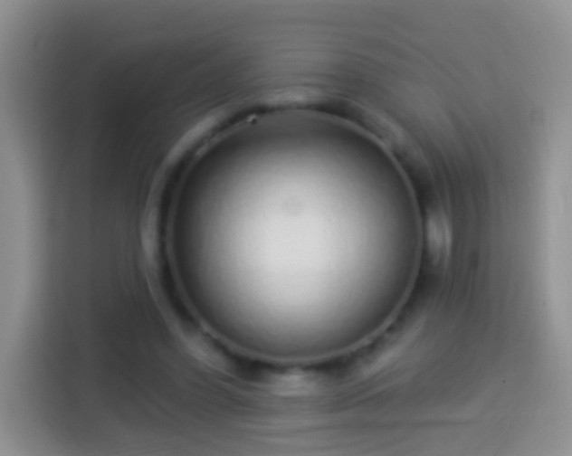 X0000113880396200910011136